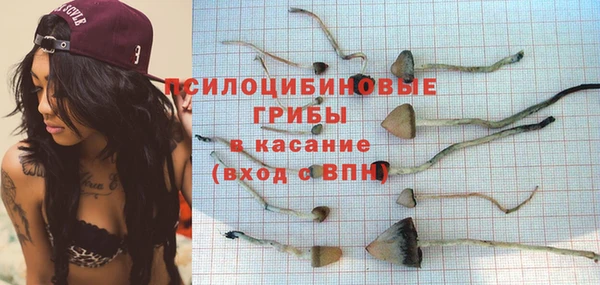 прущая мука Арсеньев